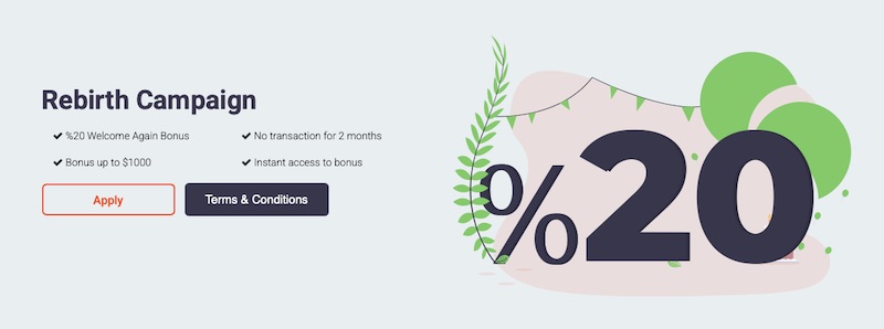 Artsmrkts - 20% Rebirth Campaign